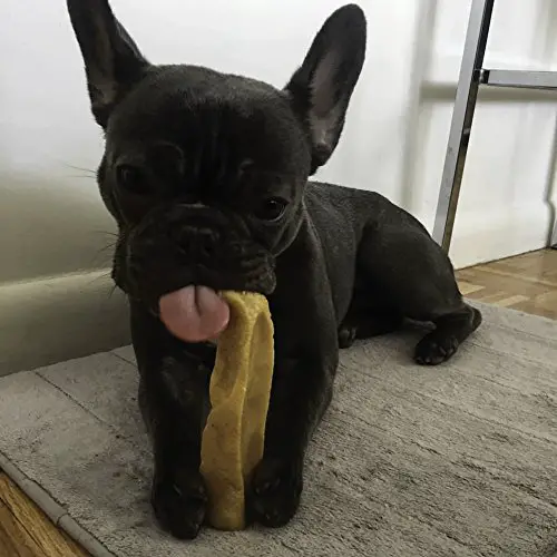 Dog Chews on Himalayan Dog Bone