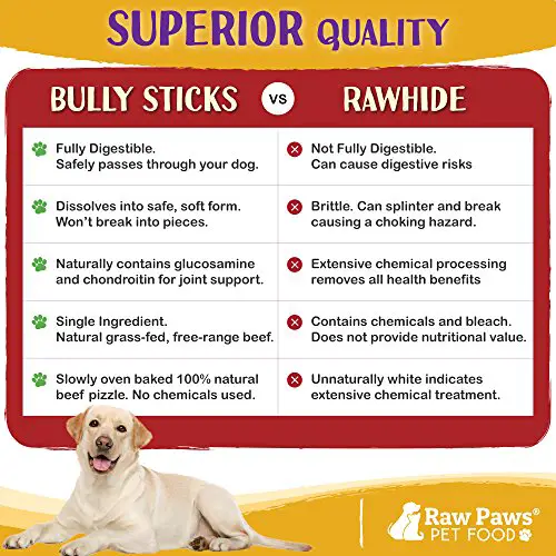 Raw Paws Bully Sticks are a Superior Alternative to Rawhide 