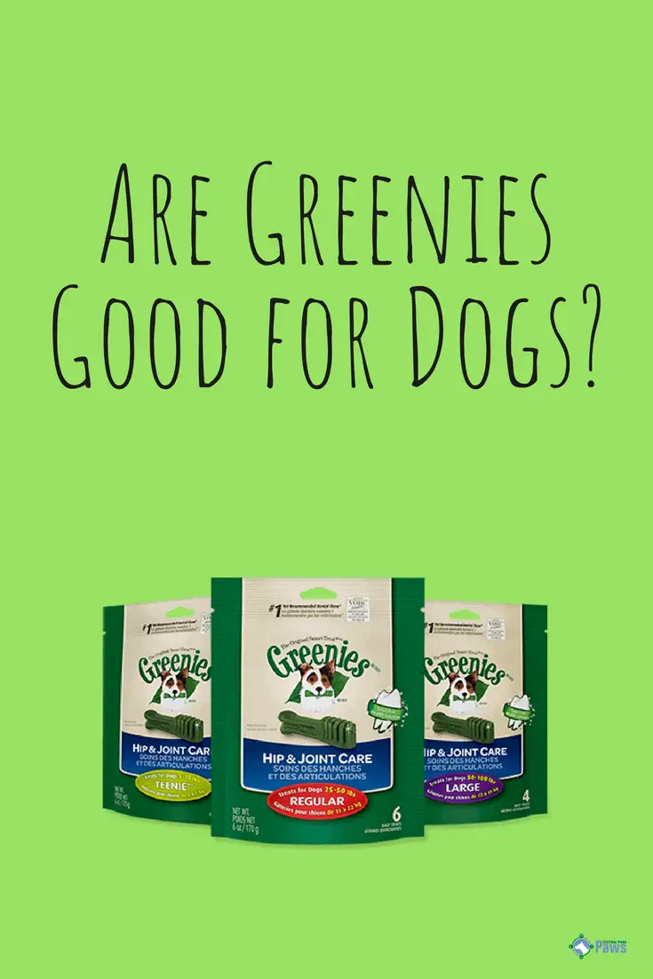 Are Greenies Good or Bad for Dogs - Pinterest