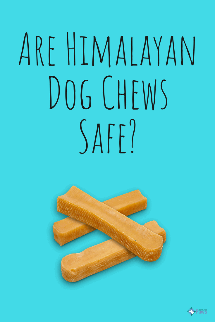 Are Himalayan Dog Chews Safe - Pinterest