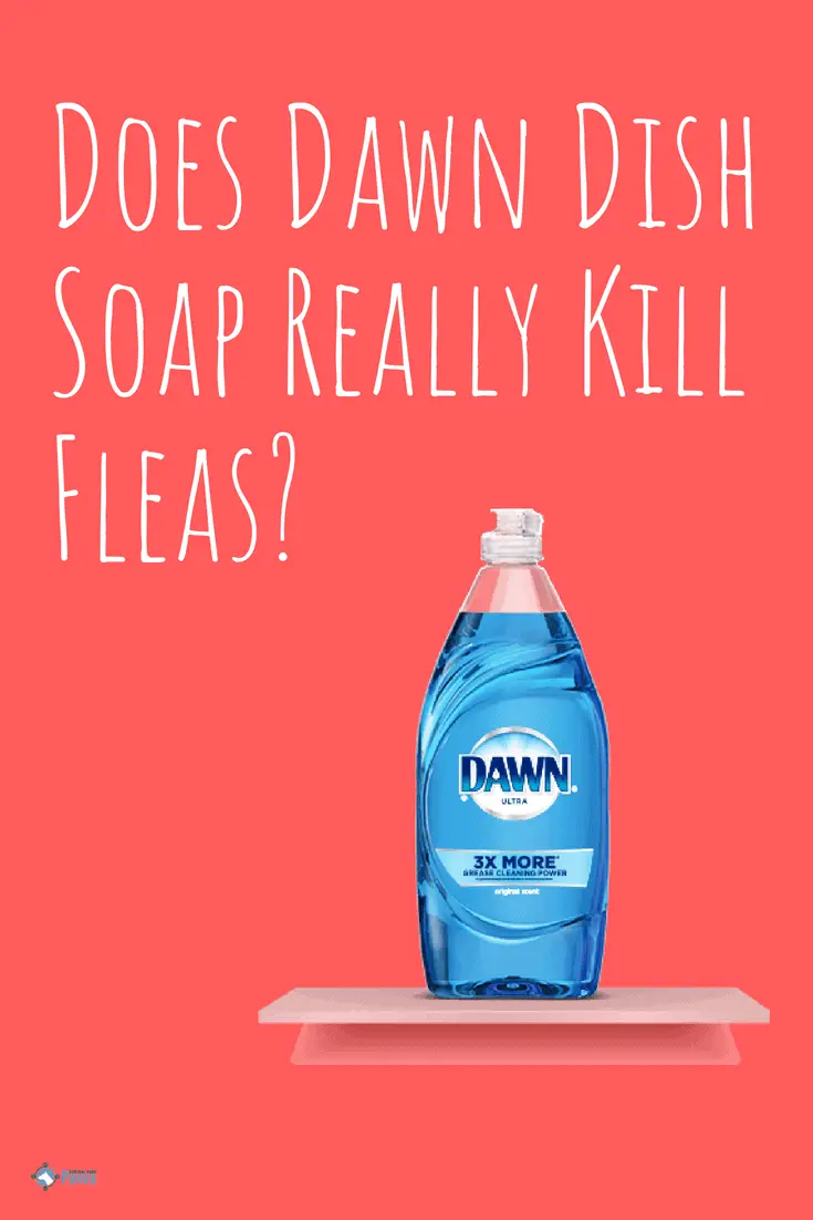 dawn dish soap to wash dog