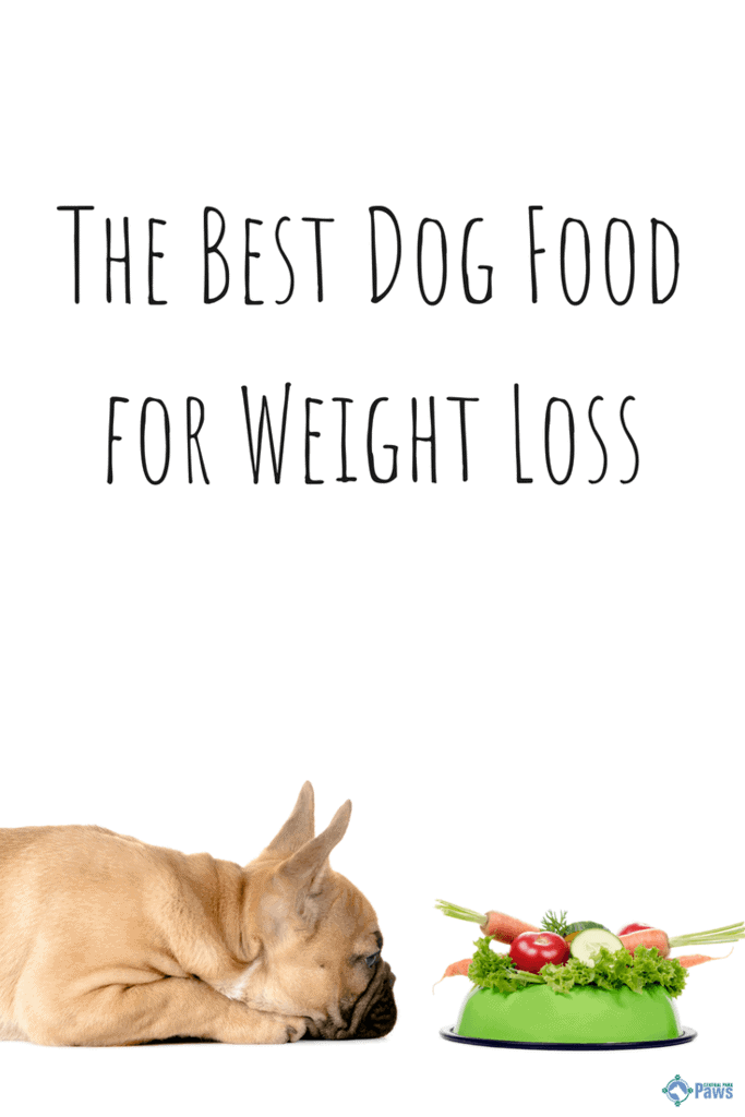 2021's Best Weight Loss Dog Foods For Your Overweight Dog