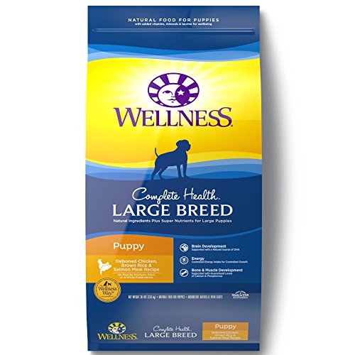 Wellness Large Breed Puppy food review