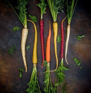 assorted carrots golden retriever diet