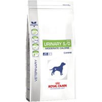 large bag of bulk dog food to save money Amazon automatic delivery