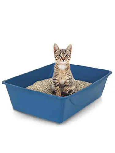 Why is my dog eating cat poop litter pan box how to stop