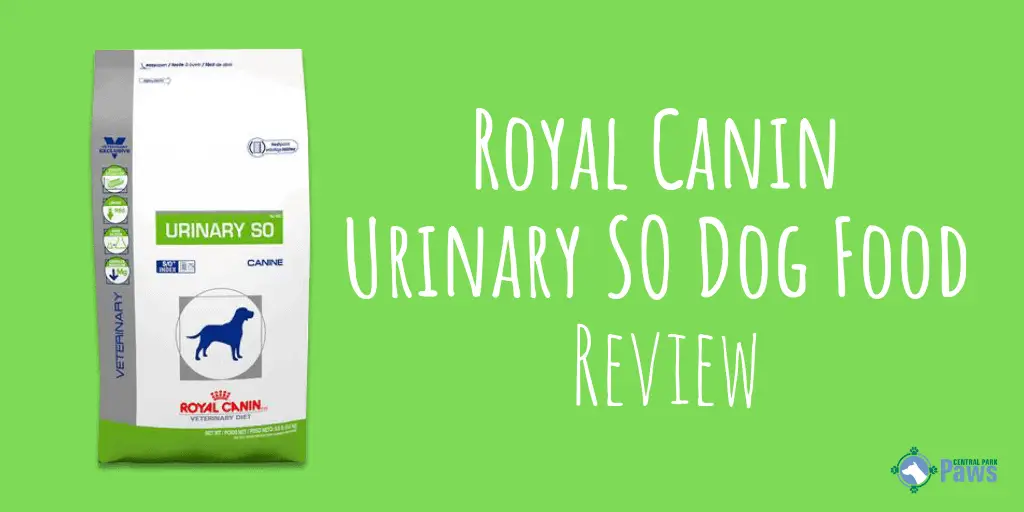 canin urinary so dog food