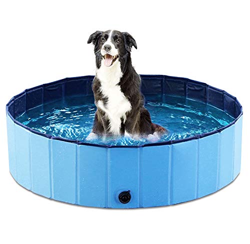 outdoor collapsible bathing dog kiddie backyard pool keep dogs cool in summer
