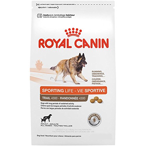 Royal Canin sporting life trail 4300 adult dry dog food to gain weight