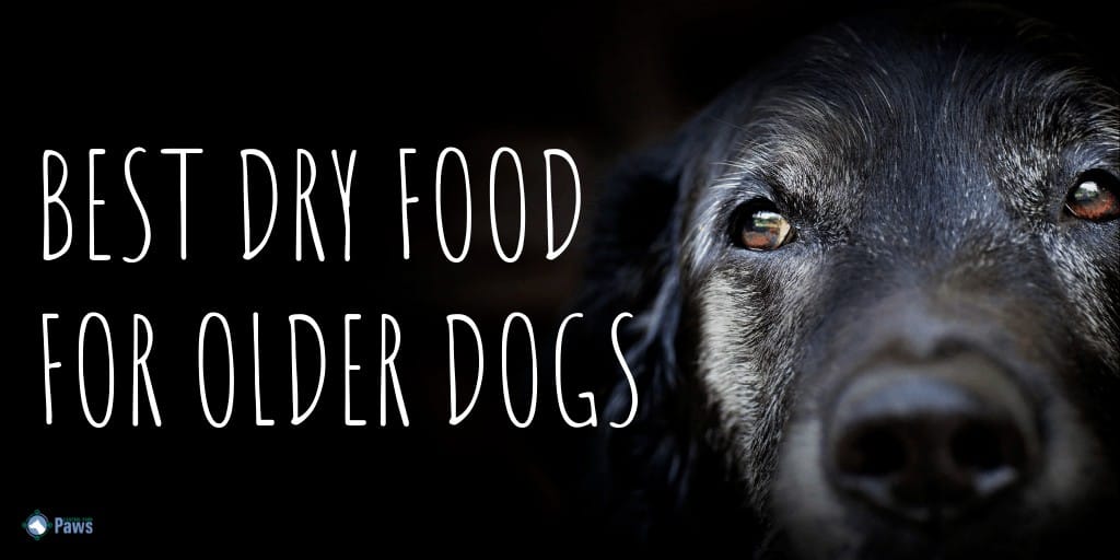 Best Dry Dog Food for Senior Dogs