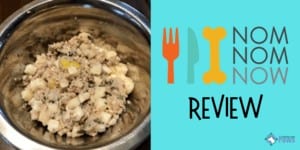 NomNomnow Dog Food Delivery Service Review