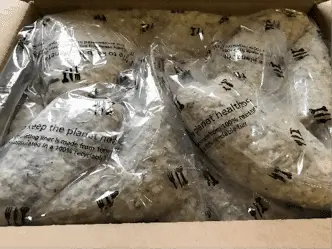 Nomnomnow dog food unboxing 