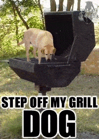 step off my grill dog old meme why fatten your pet dog