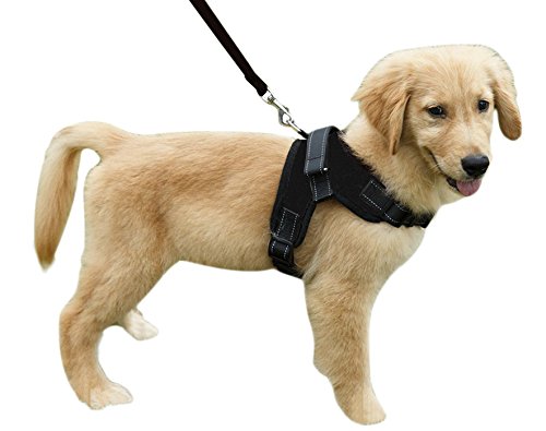 puppy leash training pulling against collar should I use harness