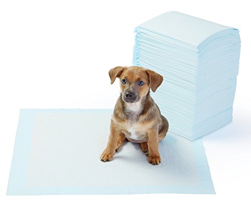 Puppy training potty pads how to house train your new pet dog
