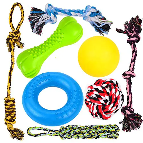 Youngever durable dog chew toys rubber nylon rope no bones for teething puppies