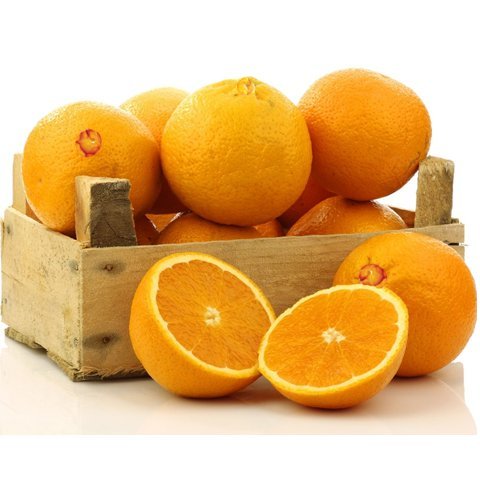 Organic Mountain Navel Oranges color dog poop causes liver disease