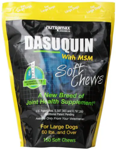 NutraMax Dasuquin with MSM soft chews joint health supplemet