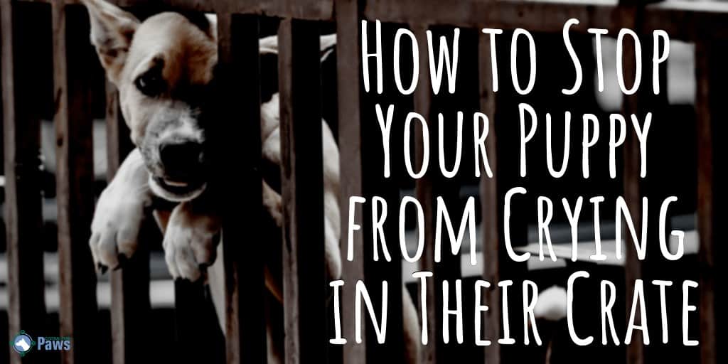 how to stop a puppy whining in crate