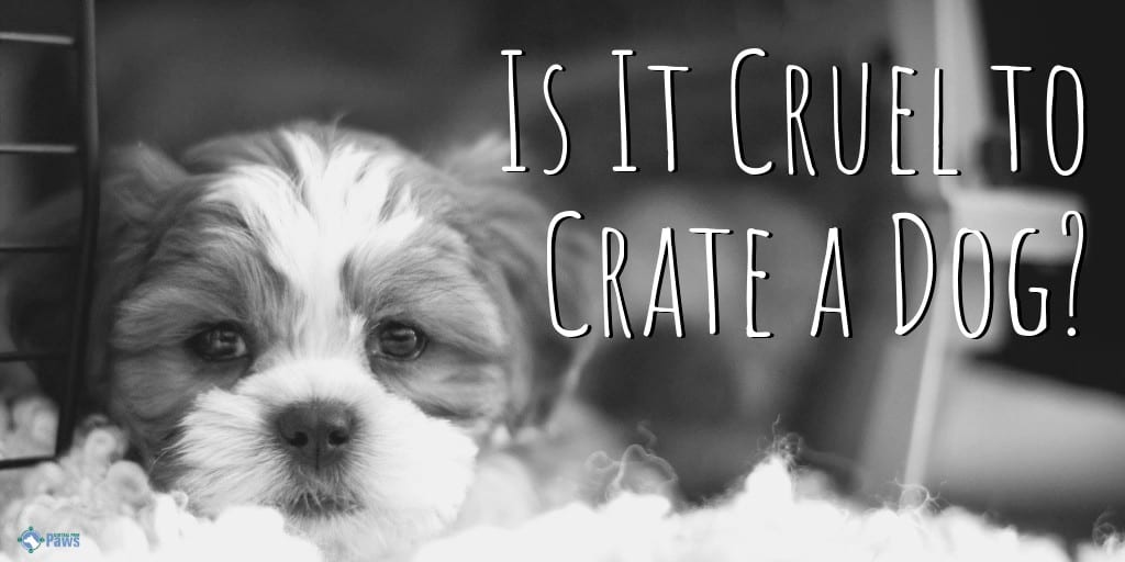 Is It Cruel to Crate a Dog?