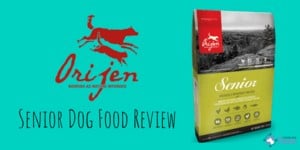 Orijen Senior Dog Food Review