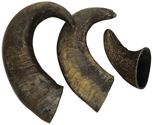 are water buffalo horns safe dog chew toy what are they