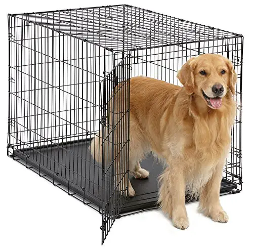 why does my dog poop in his crate