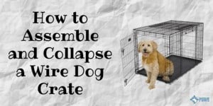 How to Assemble and Collapse a Wire Dog Crate_ Step by Step Instructions