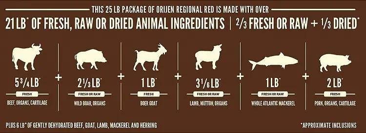 ORIJEN dry dog food regional red biologically appropriate grain free meat ingredients