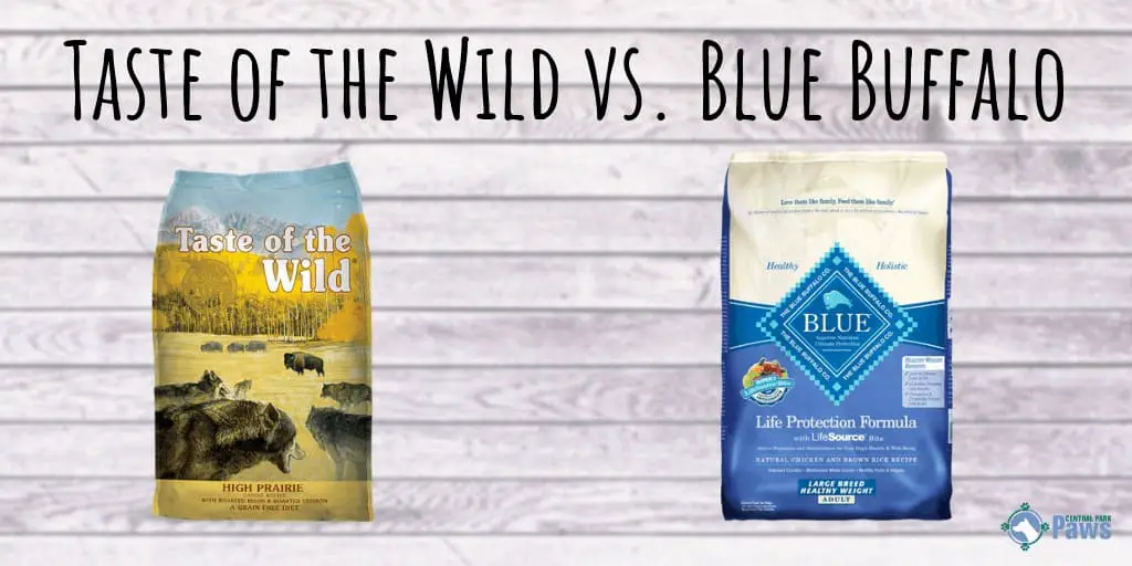 Taste of the Wild vs Blue Buffalo Dog Food Review