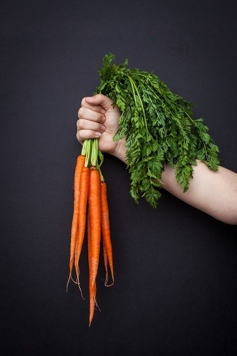 frozen carrots alternative to water buffalo horns interesting taste and texture