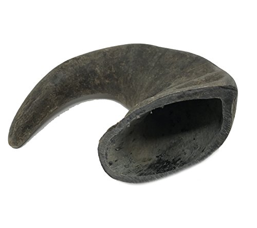 Water buffalo horn safe chew toy alternative better dog treat