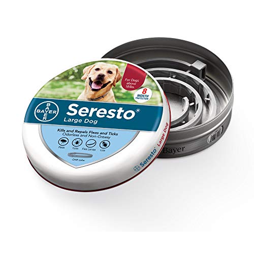 Seresto Bayer large dog flea repellant collar odor gas how to wear