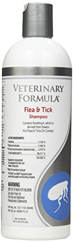 Flea and tick shampoo first steps infestation veterinary formula dog bath how to