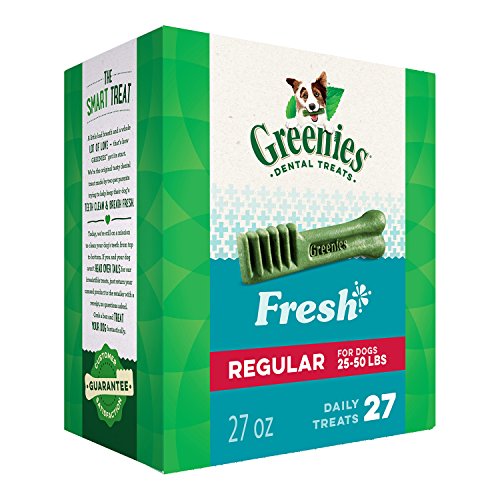 Overall best dental chew dog treat for dogs greenies not dentastix