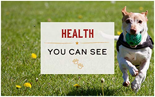 How to choose dry dog food for health fight disease provide energy coat
