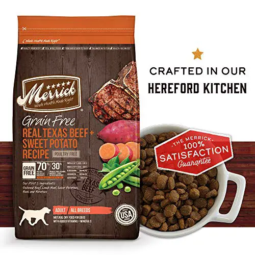 Merrick grain free real texas beef homemade Hereford kitchen dog food