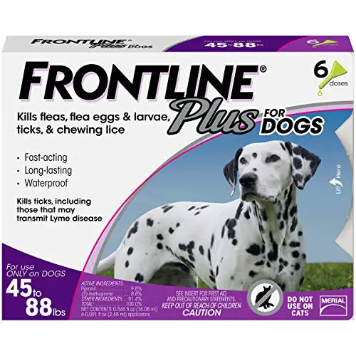 Frontline Plus for dogs topical spot on flea medication waterproof how long lasting