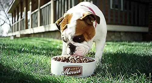 Which dog food tastes better Merrick or Blue Buffalo choices how to choose