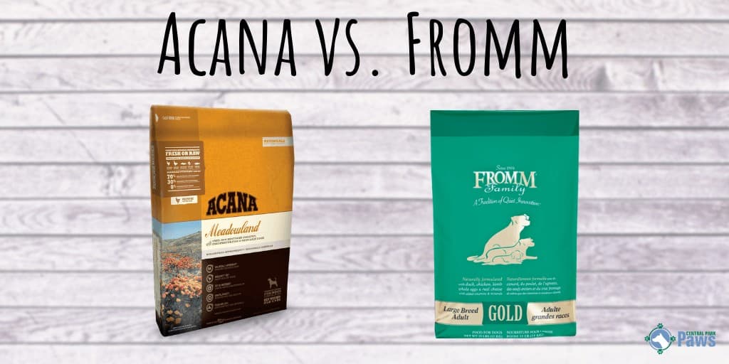 Acana vs Fromm Dog Food Review