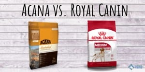 Acana vs. Royal Canin Dog Food Review