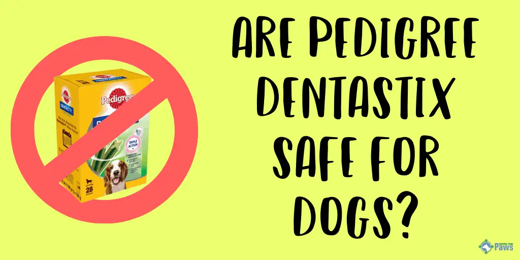 Are Pedigree Dentastix Treats Safe for Dogs