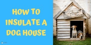 How to Insulate Plastic or Wooden Dog House