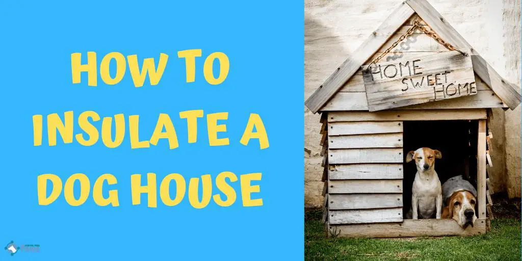 Foam board insulation for dog house top