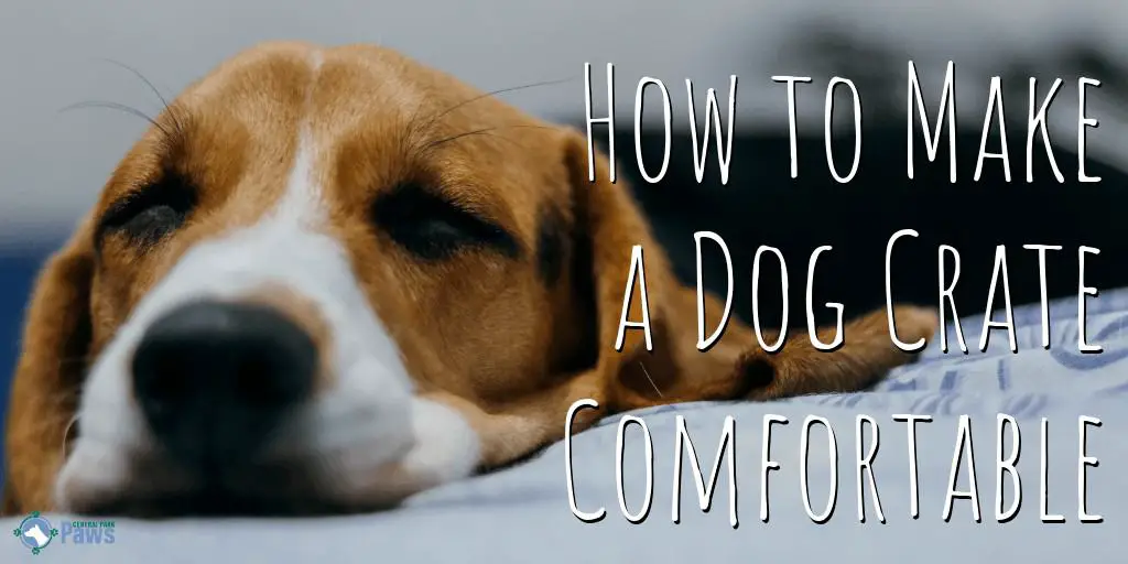 How to Make a Dog Crate More Comfortable