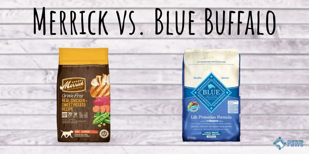 Merrick vs Blue Buffalo Dog Food Review