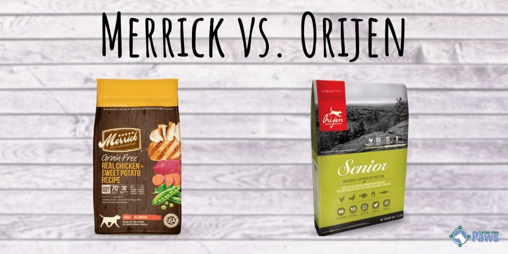 Merrick vs Orijen Dog Food Review