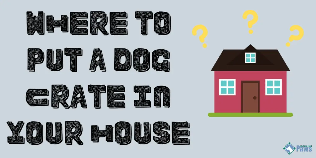 Where to Put a Dog Crate in the House Where to Put a Dog Crate in the House
