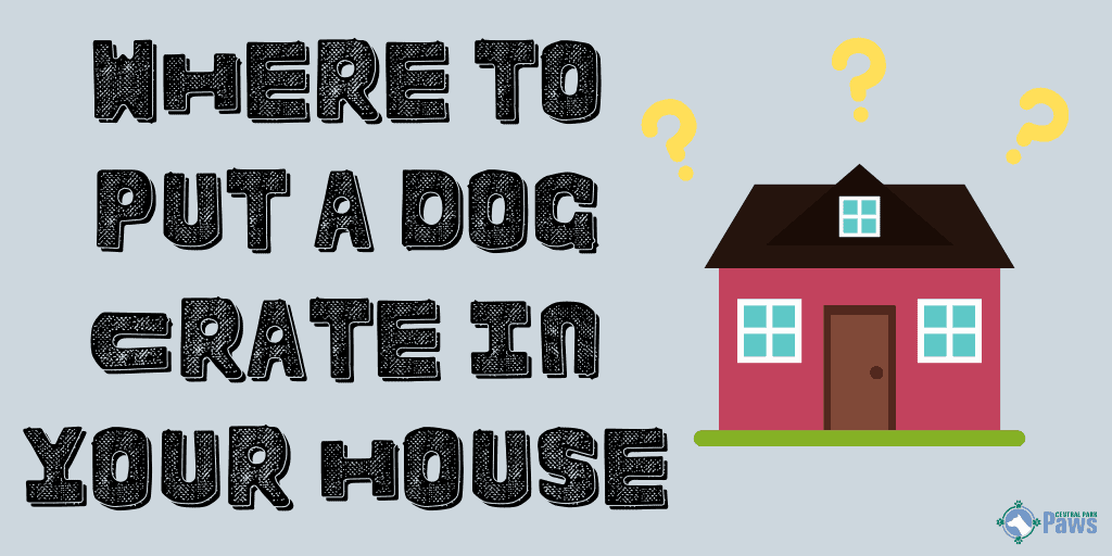 Where to Put a Dog Crate in the House
