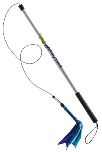 Flirt pole dog toy feather rag chew toy on string fishing line burn calories tire out dog